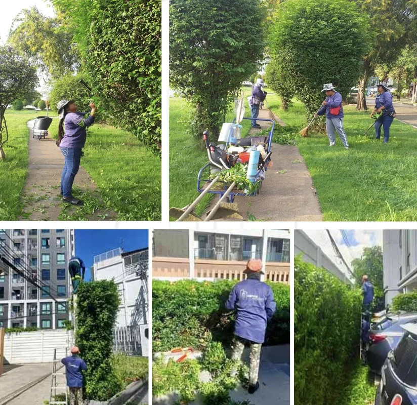 บริการงานทำสวนและตกแต่ง